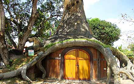 Front of Volcano House